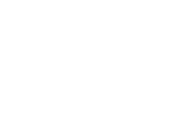 Supreme Dynamic Technologies logo